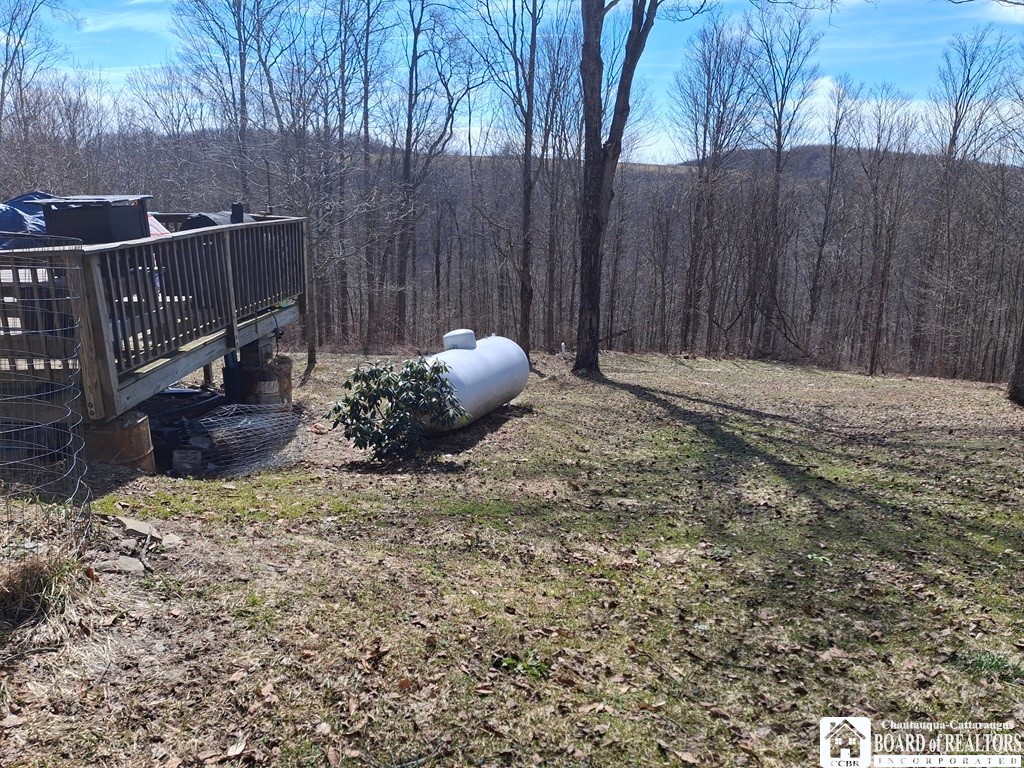 6098 Shady Lane Lyndon, NY 14737 - Photo 15 of 22 Garden Shed