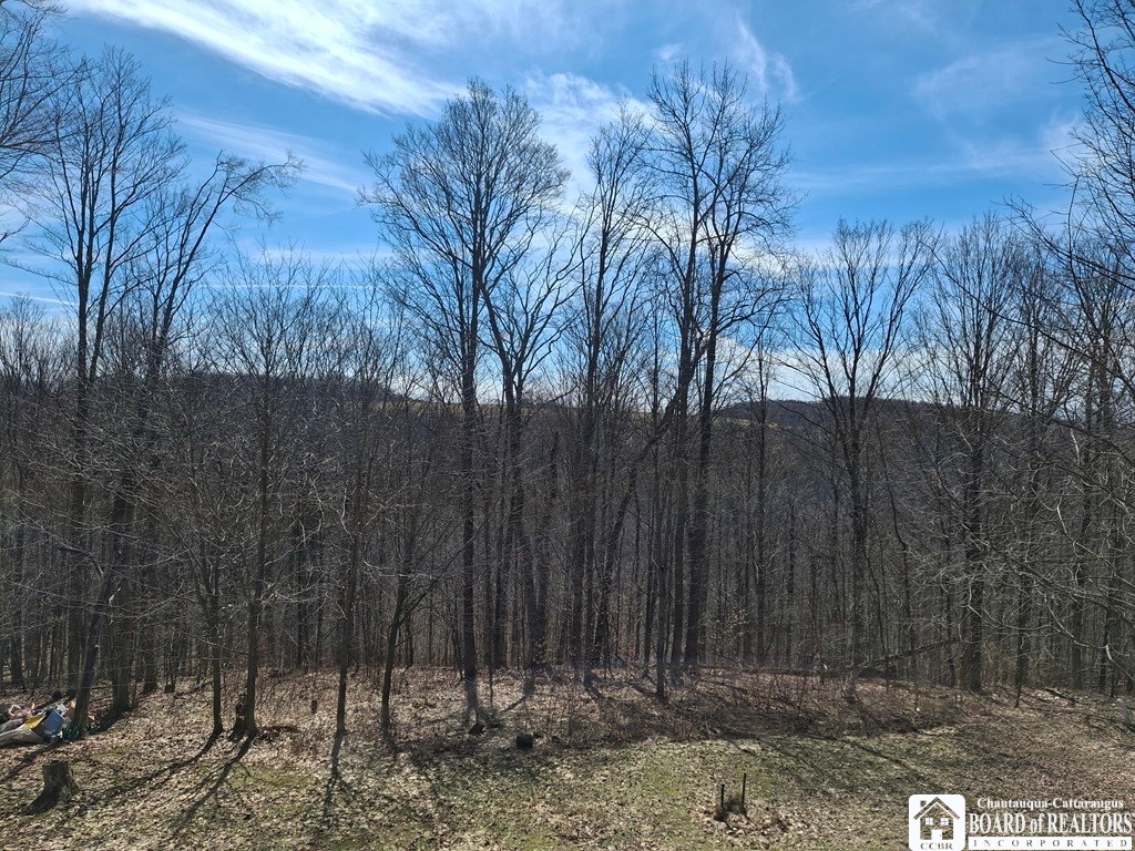 6098 Shady Lane Lyndon, NY 14737 - Photo 17 of 22 View of Valley