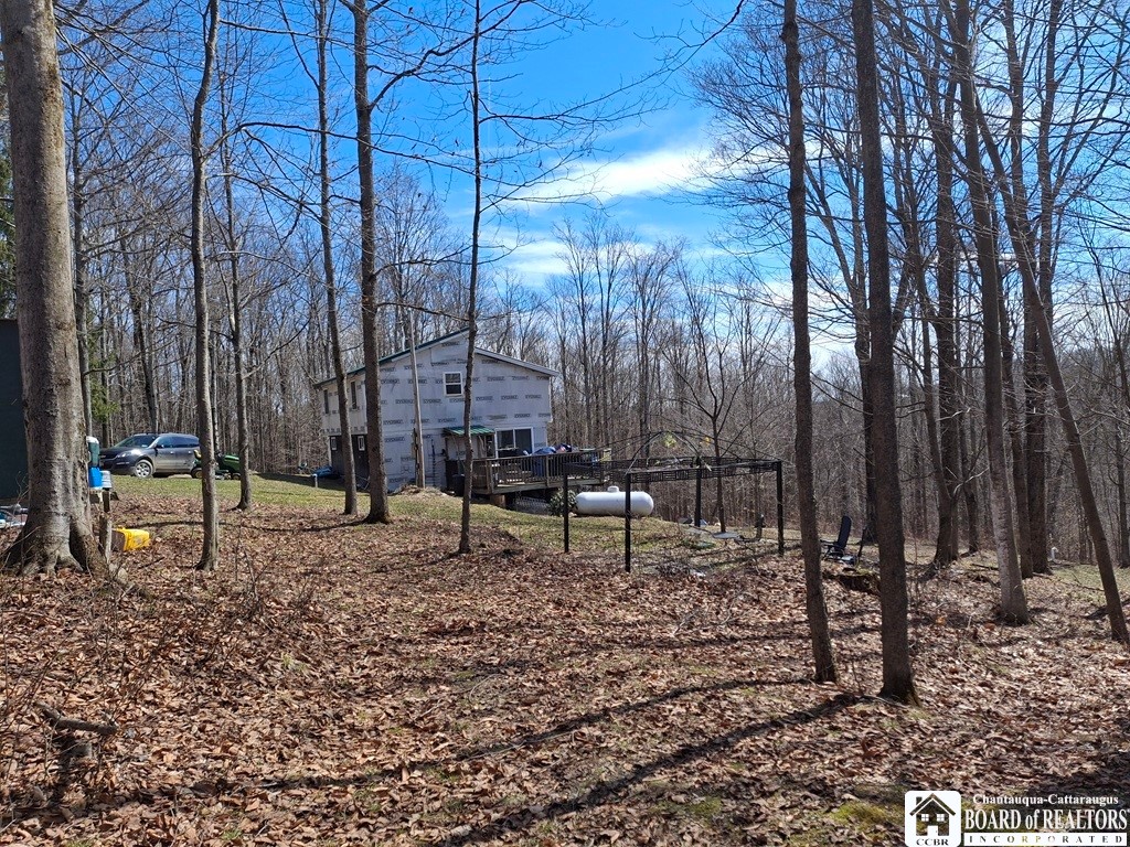6098 Shady Lane Lyndon, NY 14737 - Photo 18 of 22 Side View