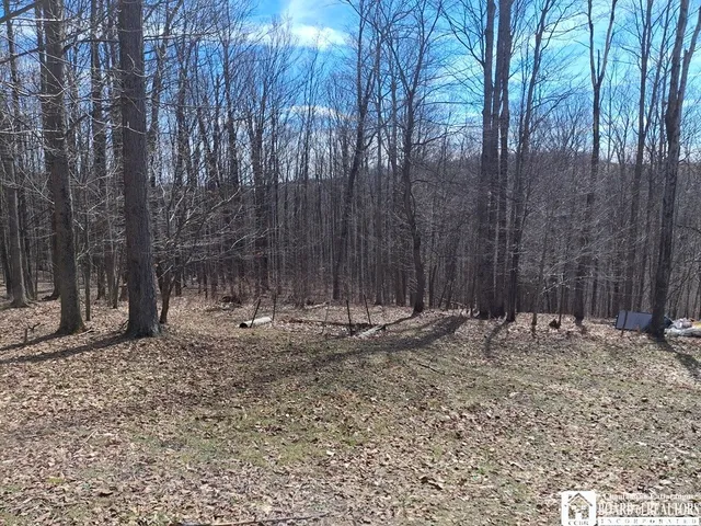 $150,000 | 6098 Shady Lane, Lyndon, NY 14737