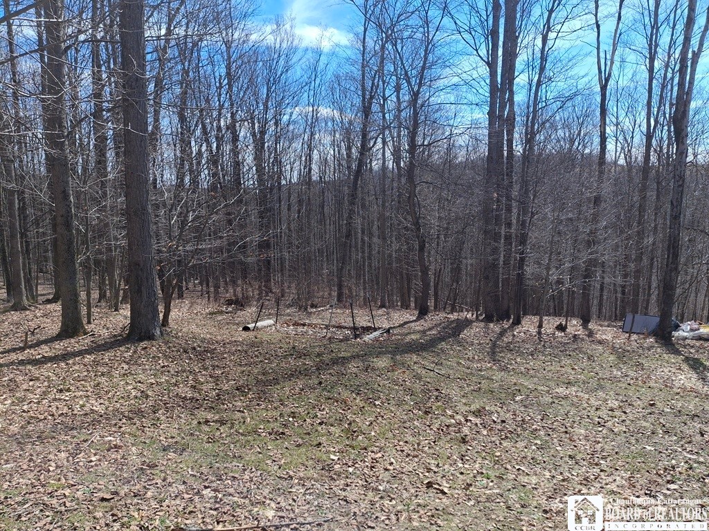 6098 Shady Lane Lyndon, NY 14737 - Photo 19 of 22