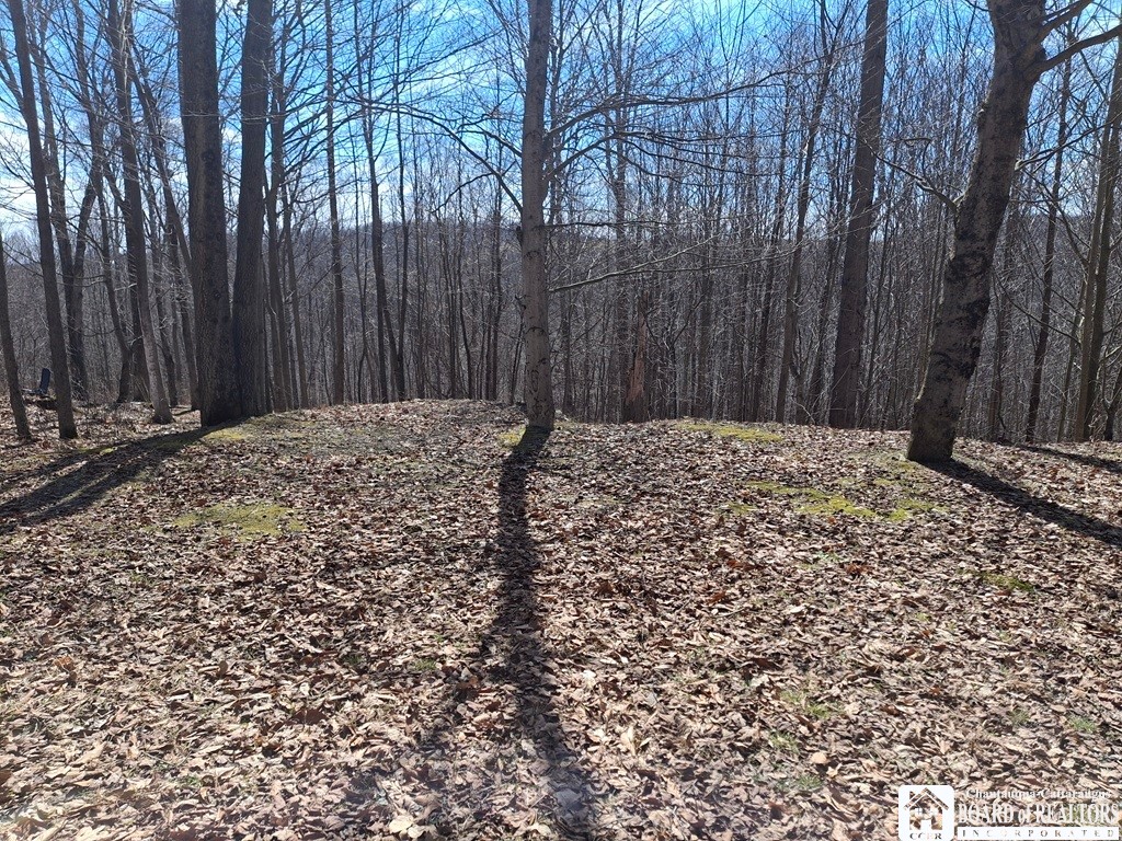 6098 Shady Lane Lyndon, NY 14737 - Photo 20 of 22