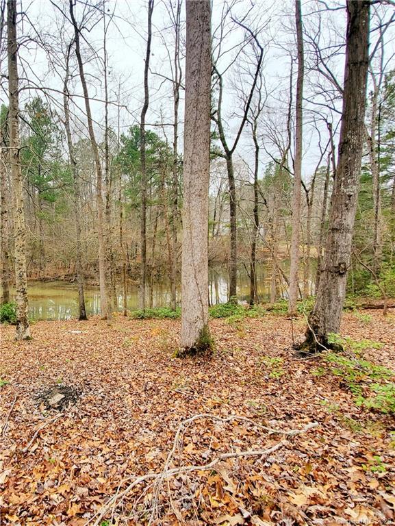 369 Creswell Road Mount Gilead, NC 27306 - Photo 19 of 31