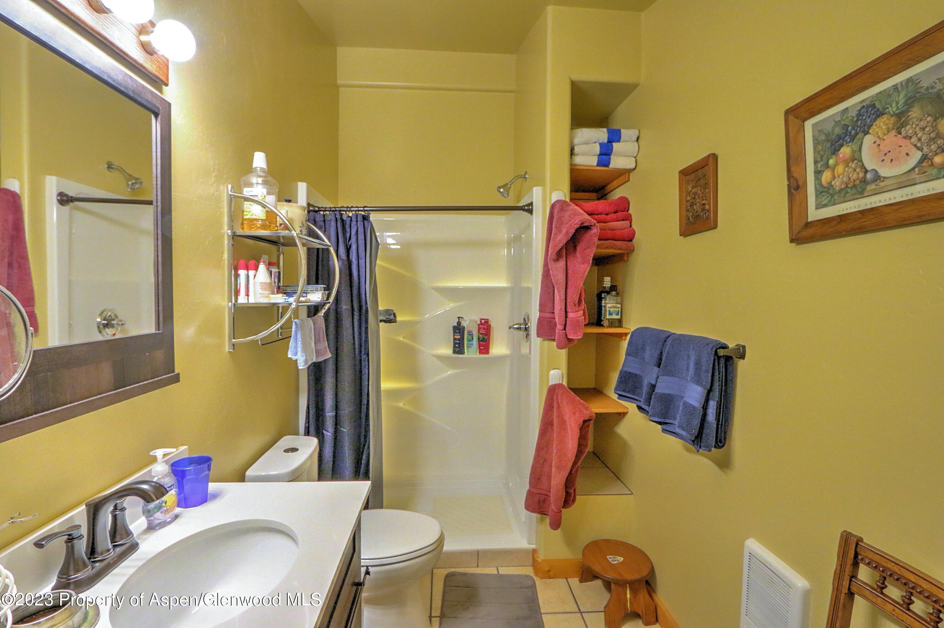 1450 Chair Bar Road Silt, CO 81652 - Photo 39 of 50 Bathroom in shop