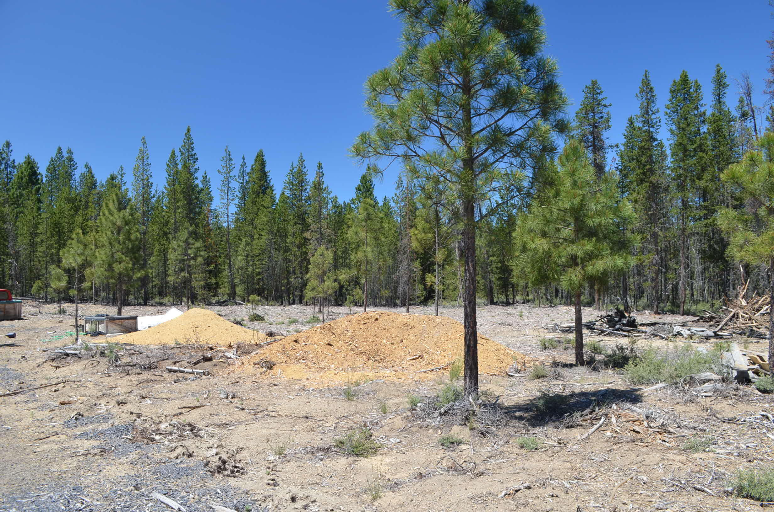 132860 Highway 97 Crescent, OR 97733 - Photo 21 of 25 a view of a yard with trees