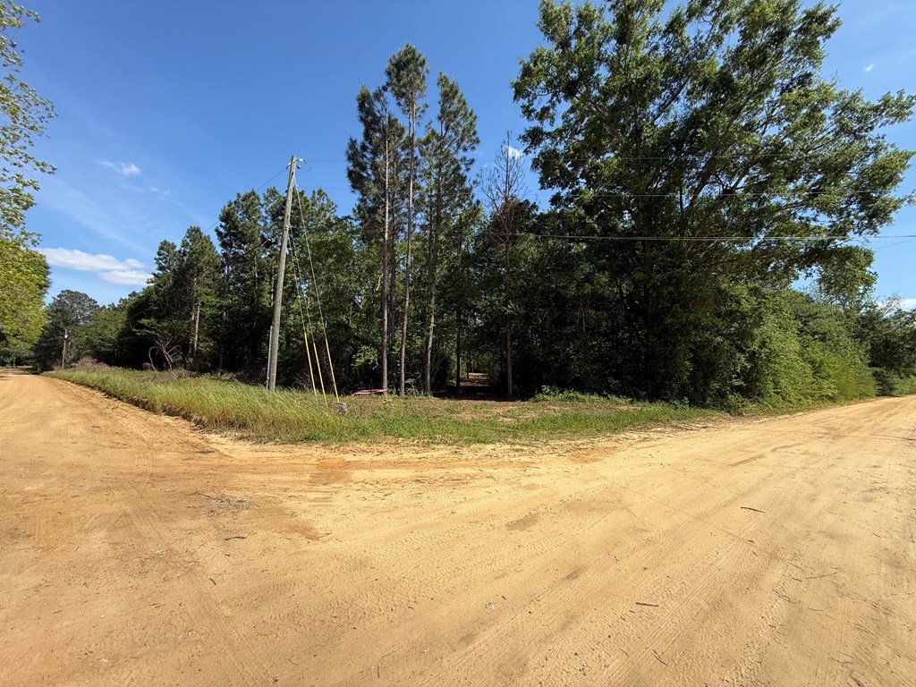 0 Grant Road Slocomb, AL 36375 - Photo 15 of 15 Gallery Image 15