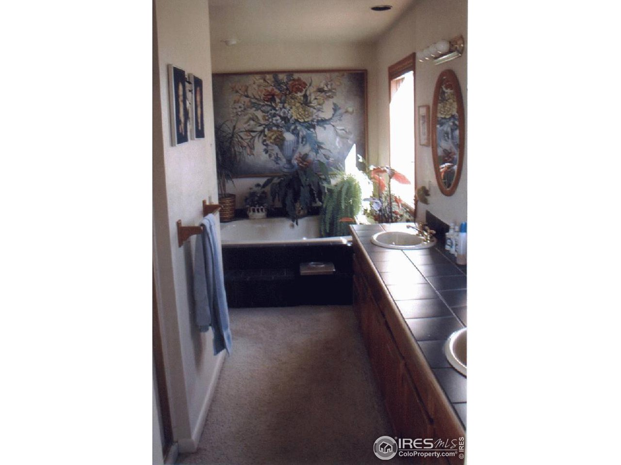 701 Gregory Road Fort Collins, CO 80524 - Photo 4 of 4 Gallery Image 4