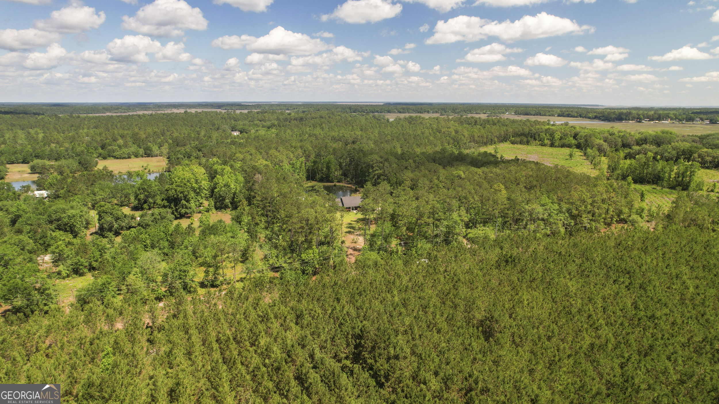 1653 Sutherland Road Townsend, GA 31331 - Photo 73 of 73