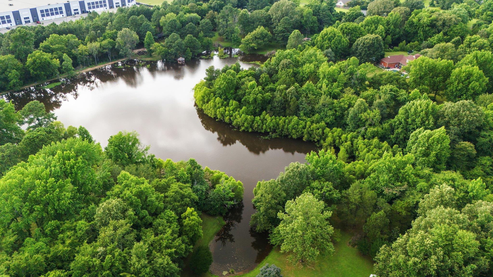 6500 State Line Road Memphis, TN 38141 - Photo 37 of 40 Aerial view of a nearby body of water