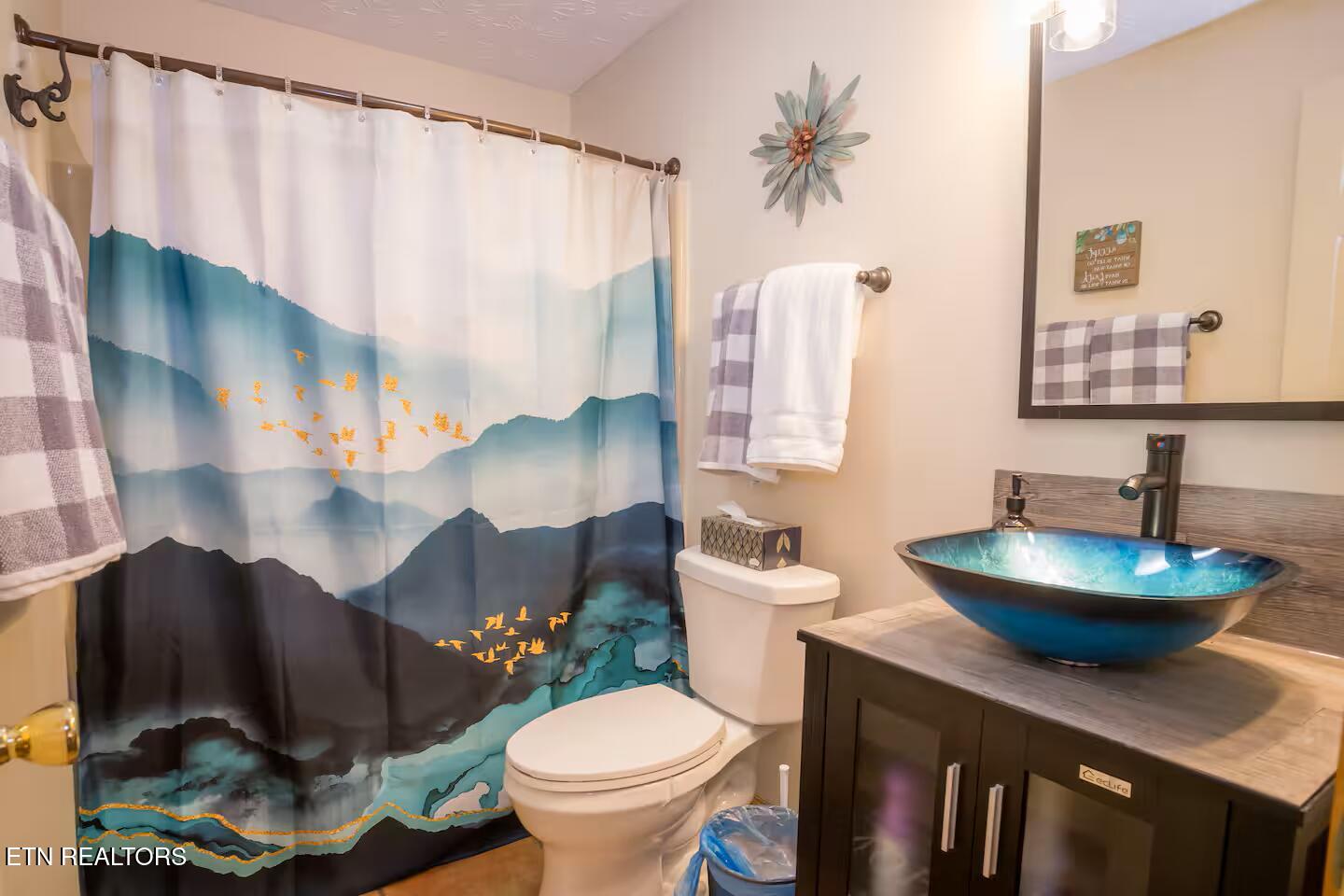 676 Rocky Flats Road Cosby, TN 37722 - Photo 14 of 35 Bathroom