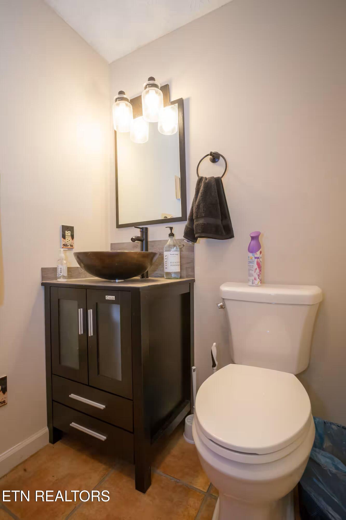 676 Rocky Flats Road Cosby, TN 37722 - Photo 26 of 35 Bathroom