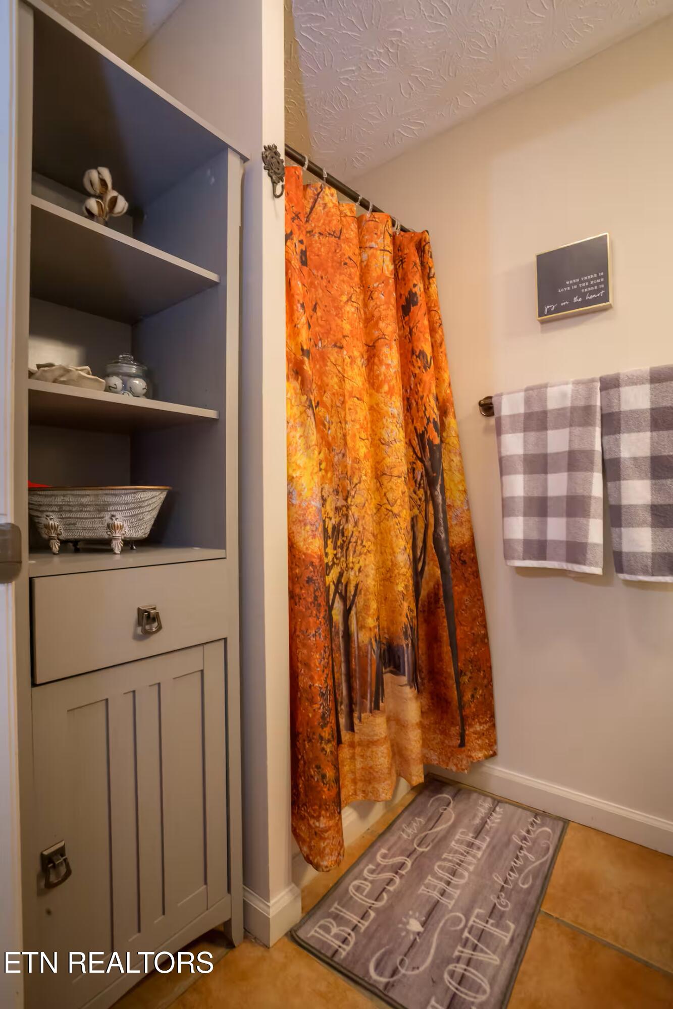 676 Rocky Flats Road Cosby, TN 37722 - Photo 27 of 35 Bathroom