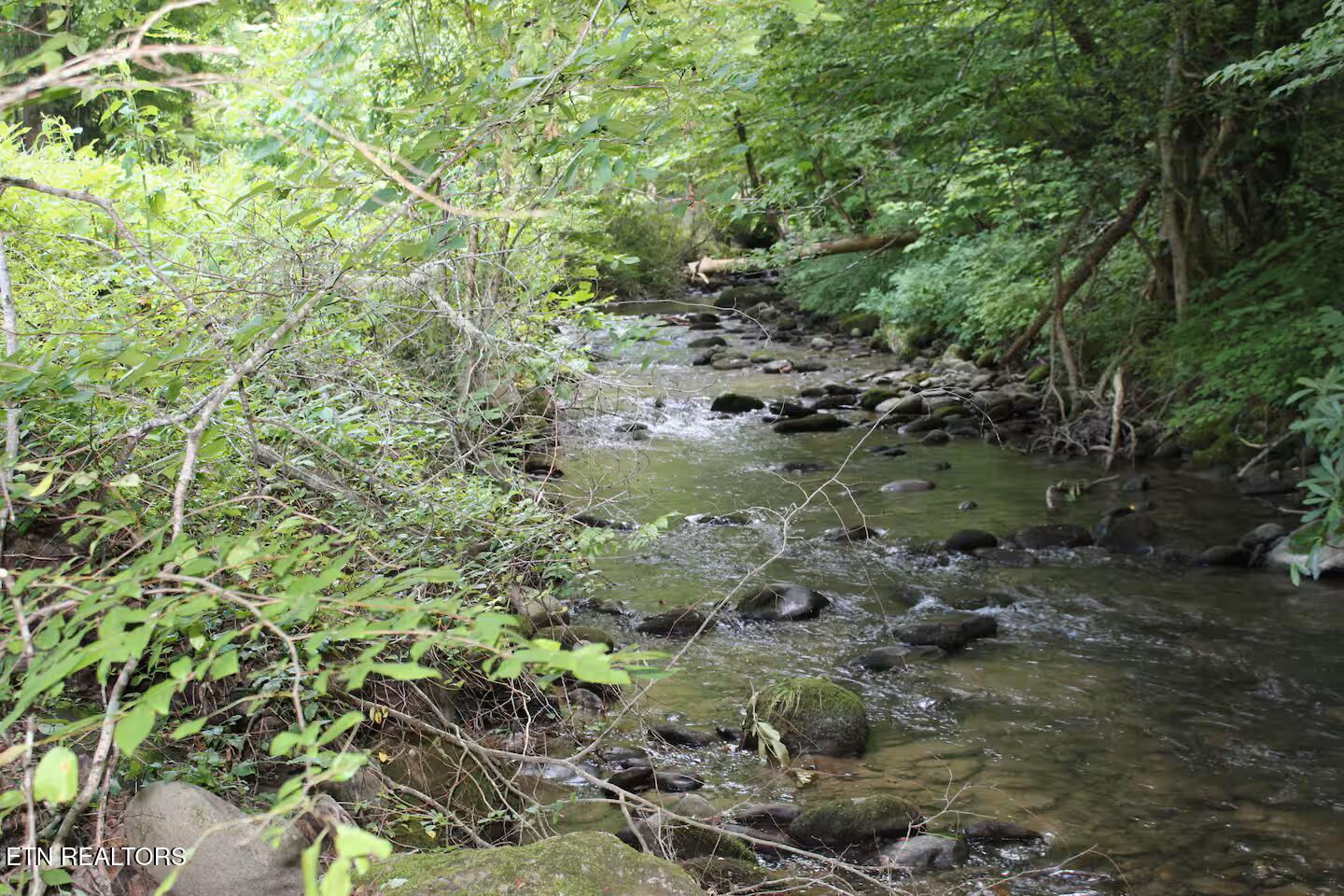 676 Rocky Flats Road Cosby, TN 37722 - Photo 33 of 35 Listen to the Stream
