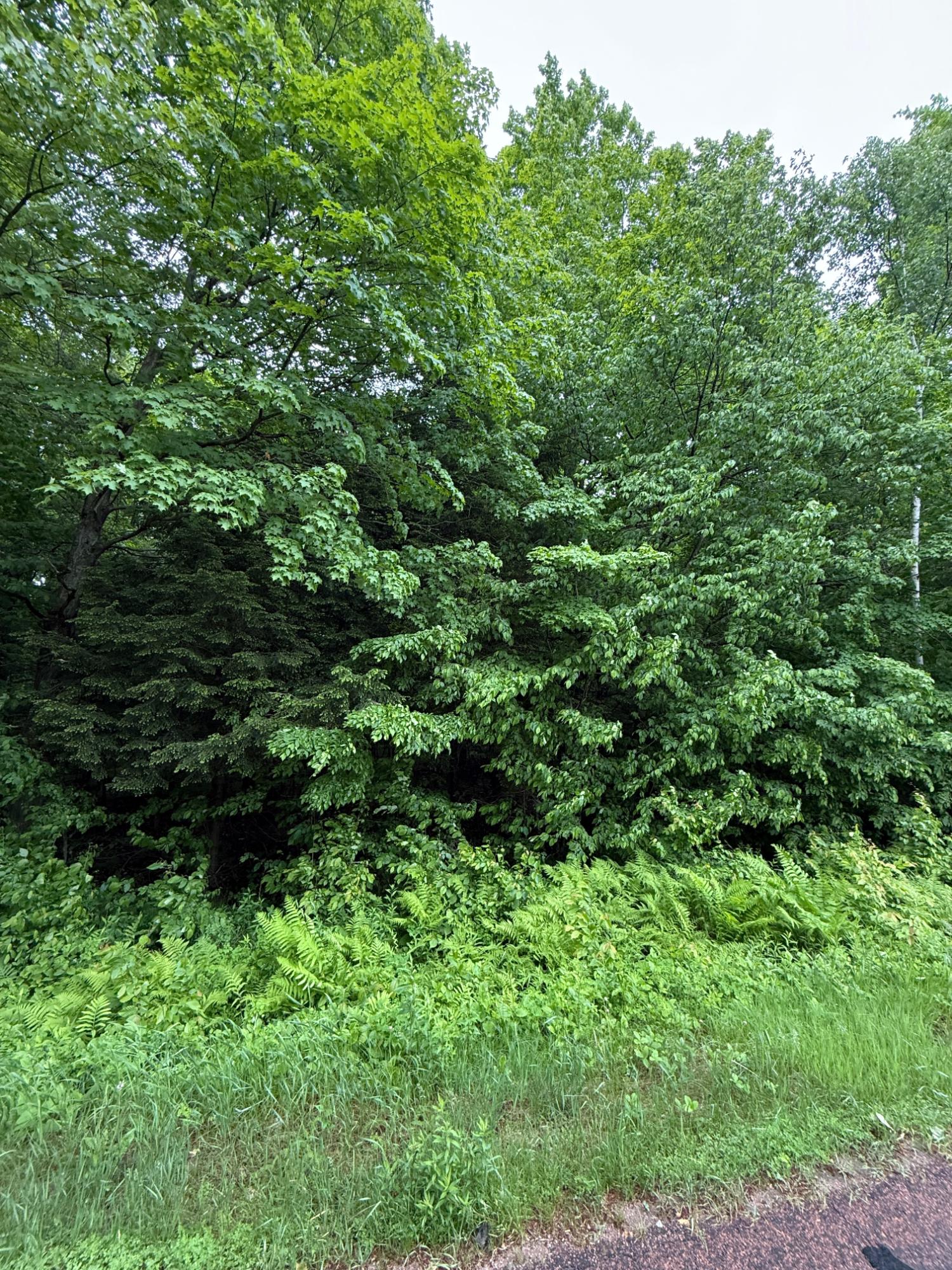 On Tobias Road Antigo, WI 54409 - Photo 2 of 2 Gallery Image 2