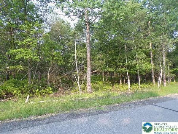 $17,000 | Claremont Drive, Albrightsville, PA 18210