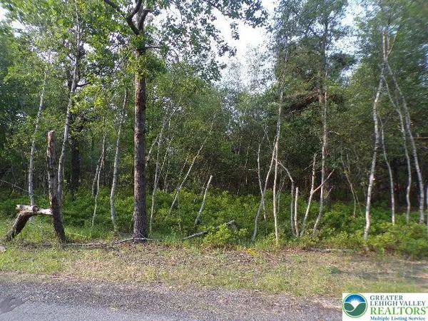 $17,000 | Claremont Drive, Albrightsville, PA 18210