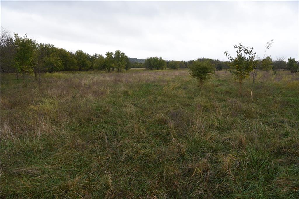 Quail Rd Road Mound City, KS 66056 - Photo 12 of 38