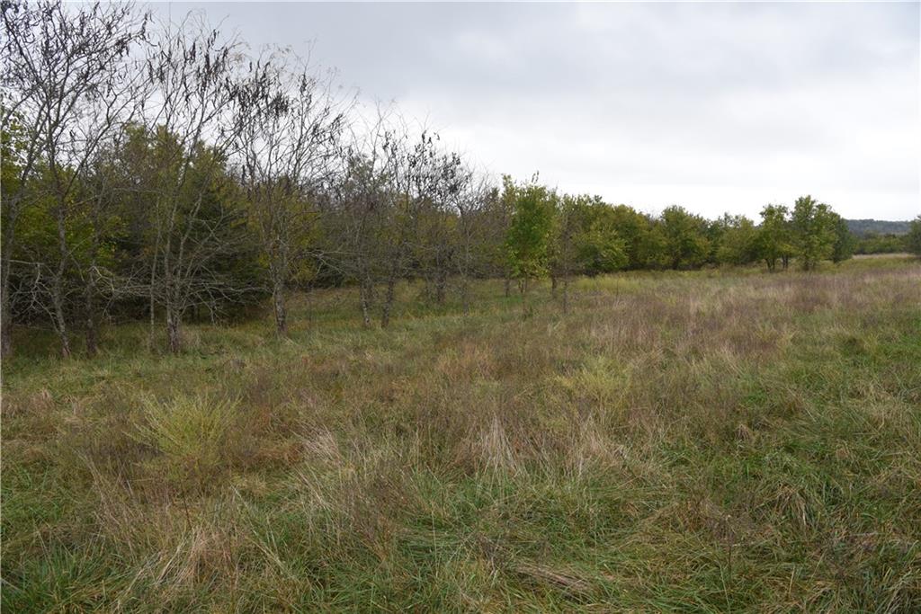 Quail Rd Road Mound City, KS 66056 - Photo 13 of 38
