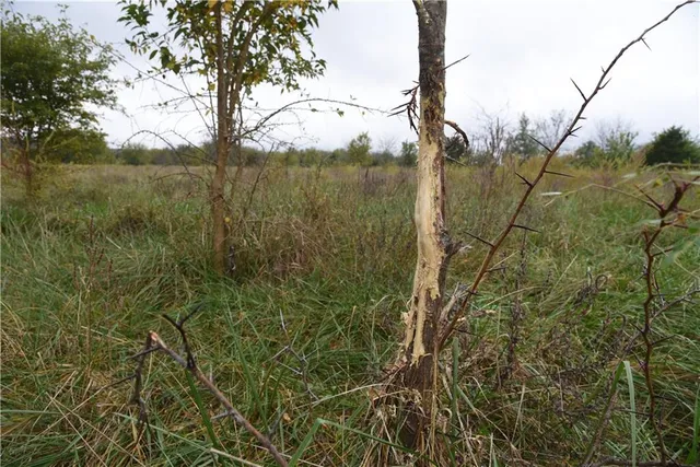 $900,000 | Quail Rd Road, Mound City, KS 66056