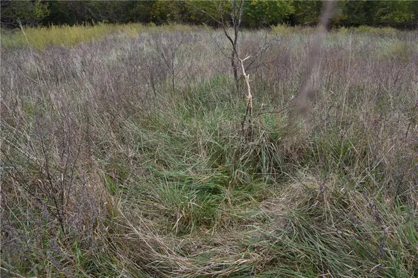 $900,000 | Quail Rd Road, Mound City, KS 66056