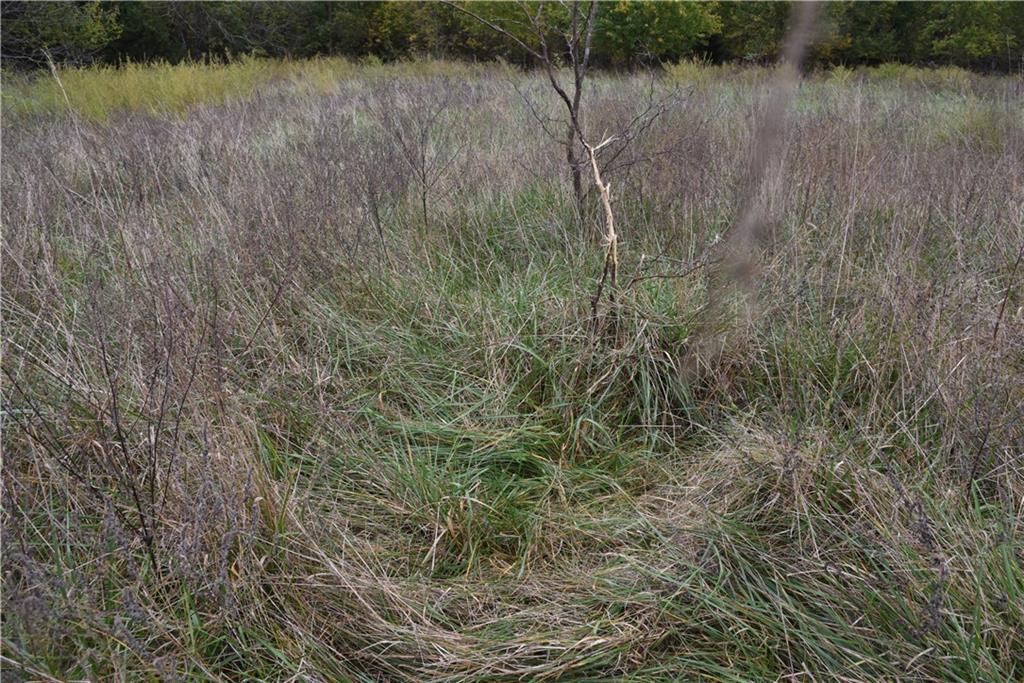 Quail Rd Road Mound City, KS 66056 - Photo 16 of 38