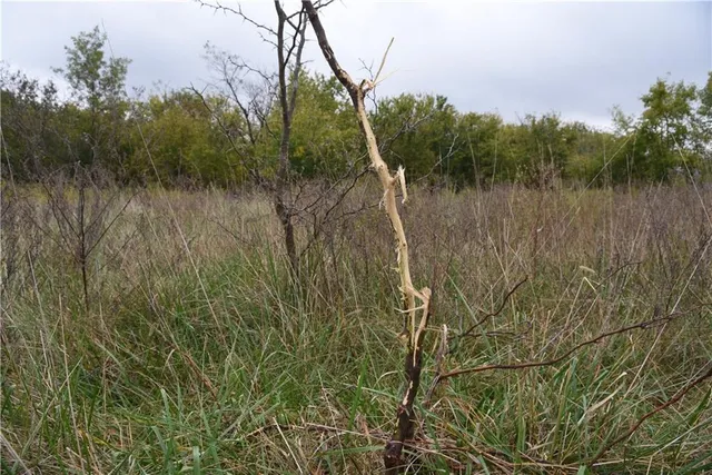 $900,000 | Quail Rd Road, Mound City, KS 66056