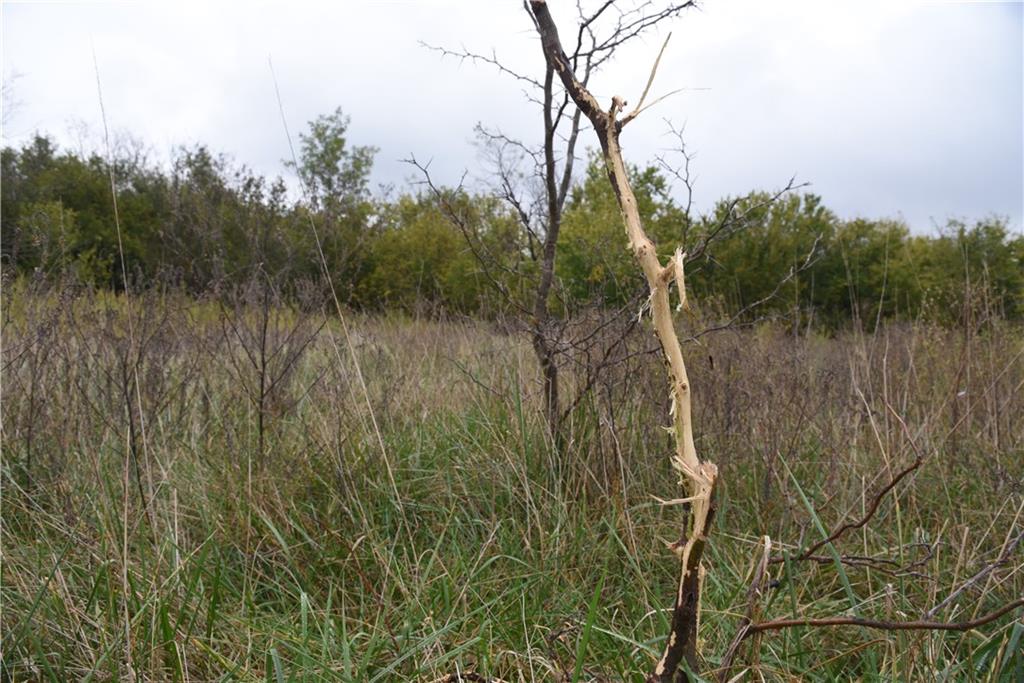 Quail Rd Road Mound City, KS 66056 - Photo 18 of 38