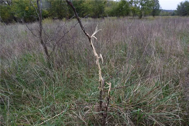 $900,000 | Quail Rd Road, Mound City, KS 66056