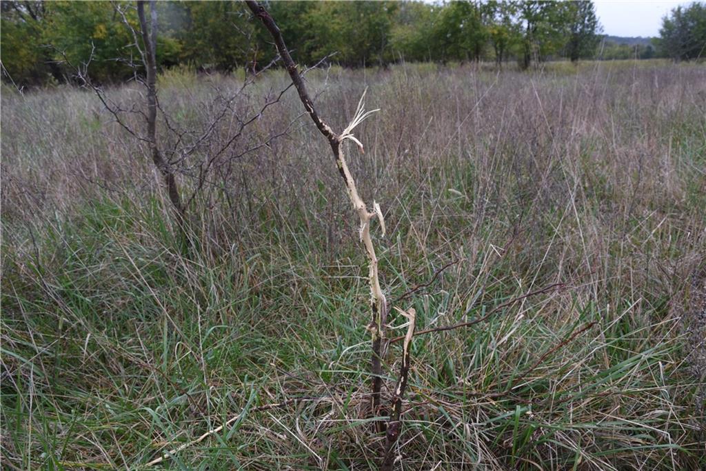 Quail Rd Road Mound City, KS 66056 - Photo 19 of 38