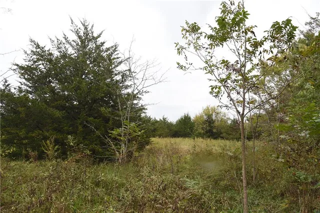 $900,000 | Quail Rd Road, Mound City, KS 66056