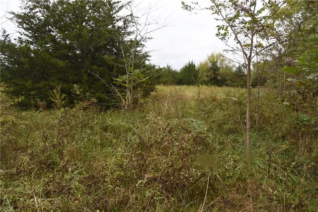 $900,000 | Quail Rd Road, Mound City, KS 66056