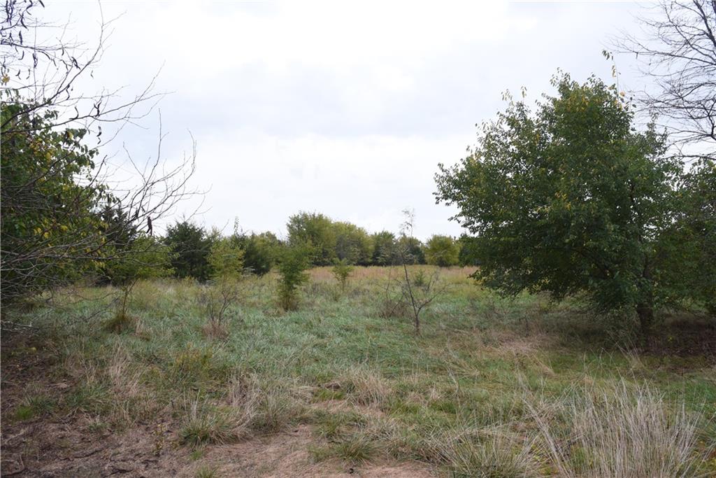 Quail Rd Road Mound City, KS 66056 - Photo 31 of 38