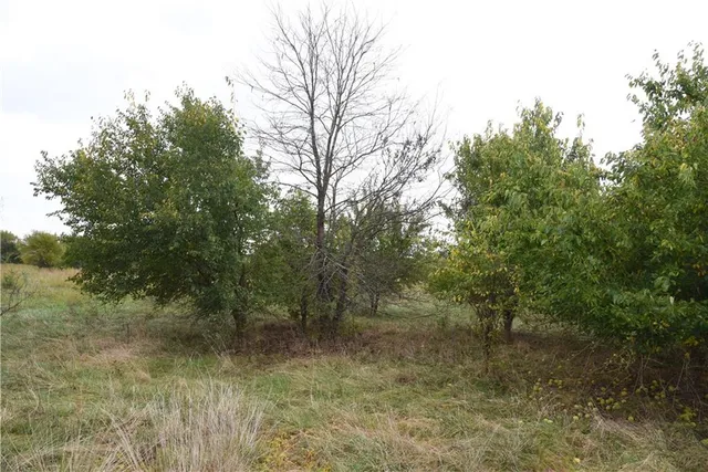 $900,000 | Quail Rd Road, Mound City, KS 66056