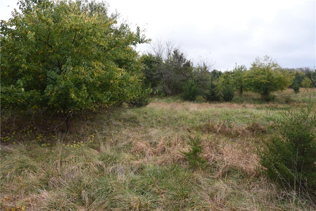 Quail Rd Road Mound City, KS 66056 - Photo 33 of 38