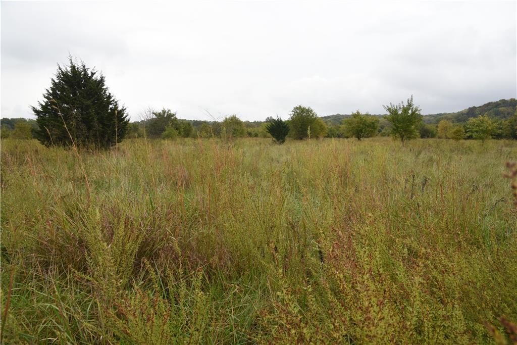 Quail Rd Road Mound City, KS 66056 - Photo 34 of 38