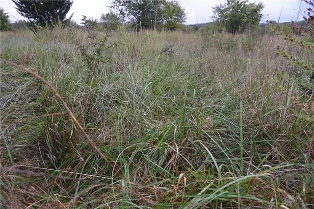 $900,000 | Quail Rd Road, Mound City, KS 66056