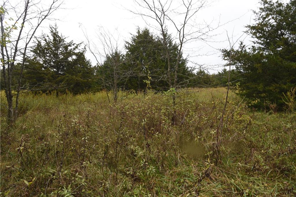 Quail Rd Road Mound City, KS 66056 - Photo 4 of 38