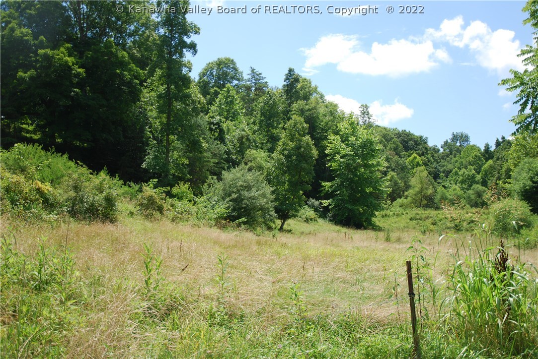 3621 Beech Fork Road Leon, WV 25123 - Photo 3 of 7 Gallery Image 3