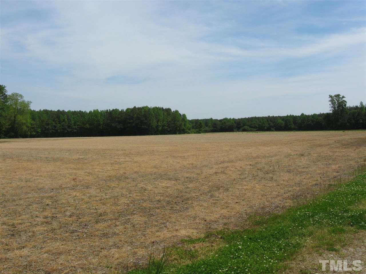 925 C Micro Road West Selma, NC 27576 - Photo 9 of 11 Across the road is a large 100 acre farm. This is the view.