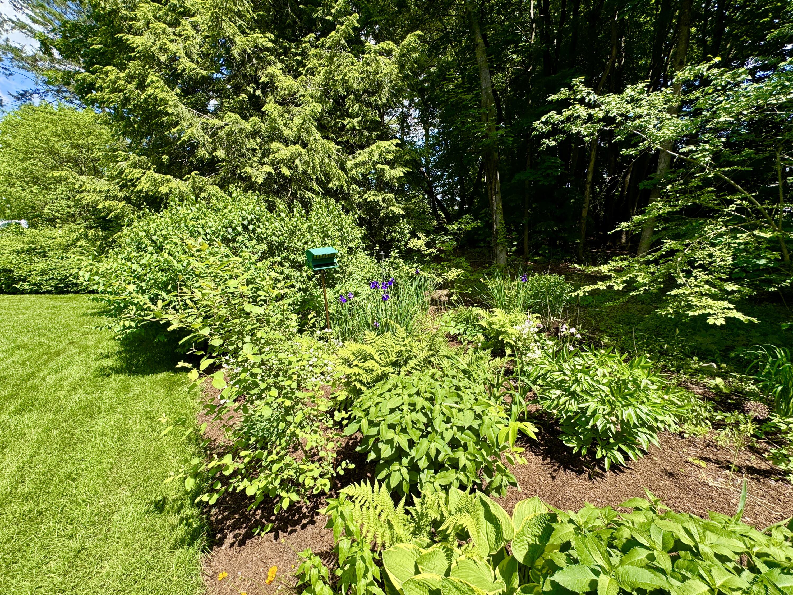 281 Clyde Road Bangor, ME 04401 - Photo 79 of 108 IMG_9078
