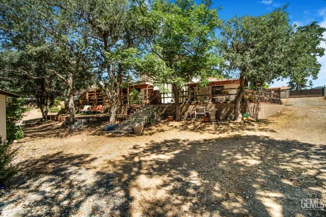 a view of a yard with trees