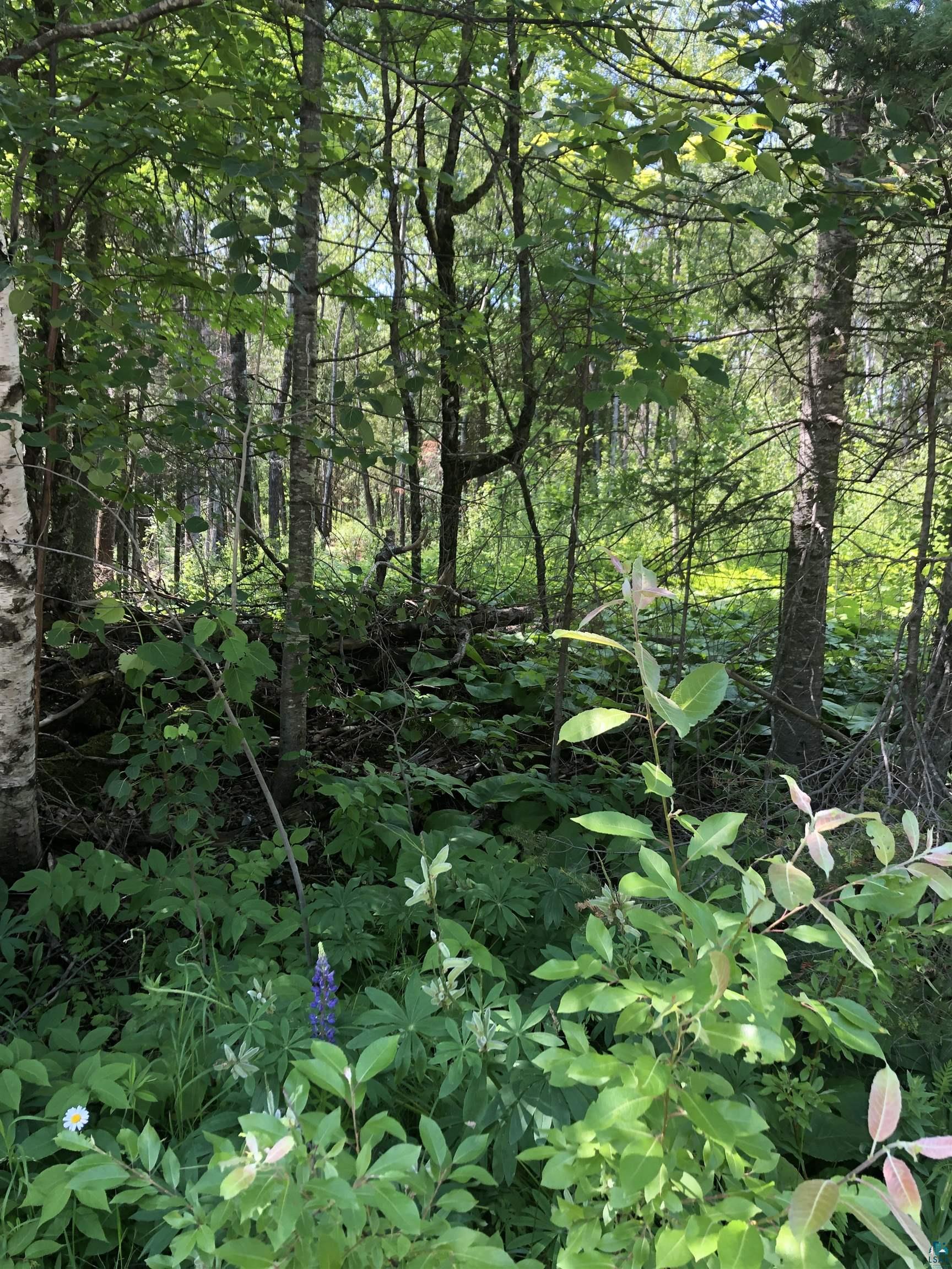 56-xx North Tischer Road Duluth, MN 55804 - Photo 2 of 2
