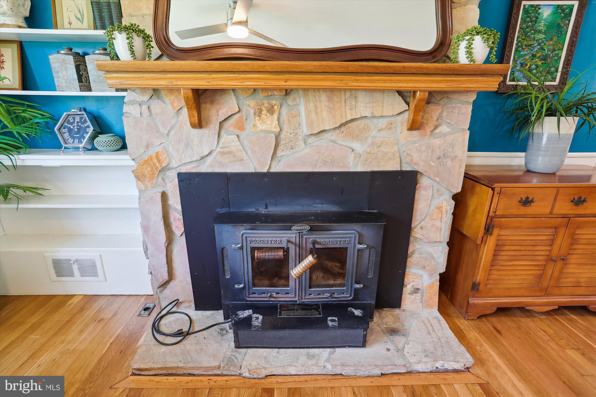 903 Kerwin Road Silver Spring, MD 20901 - Photo 5 of 51 Fireplace with an Insert