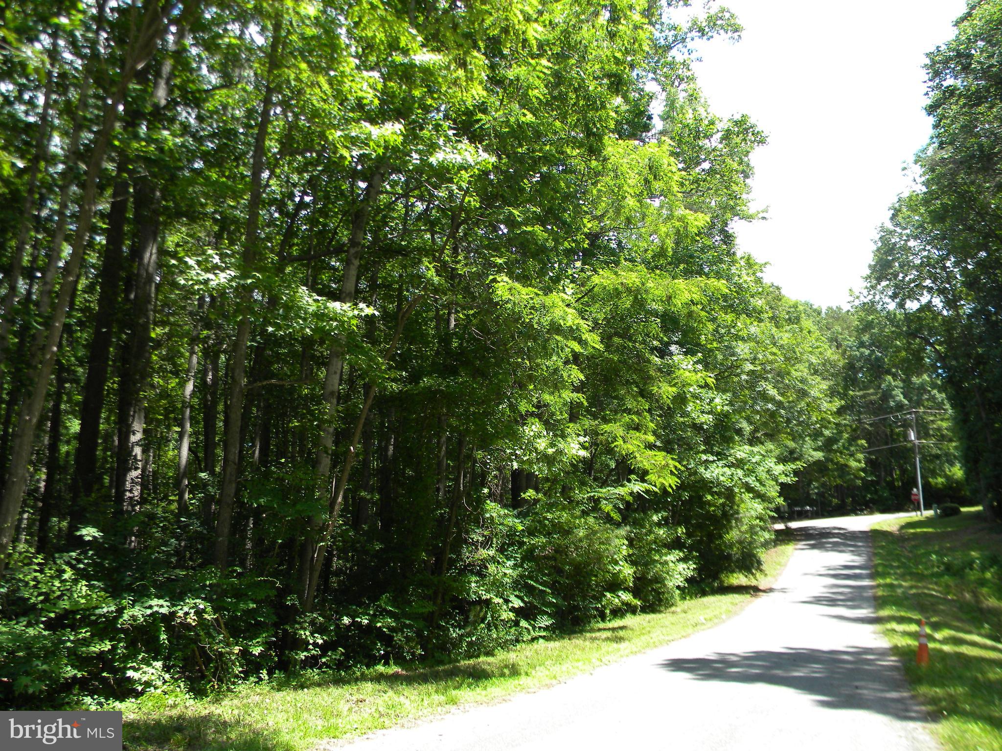 Lot 11-revised Lot 11-revised Thunder Road King George, VA 22485 - Photo 3 of 23