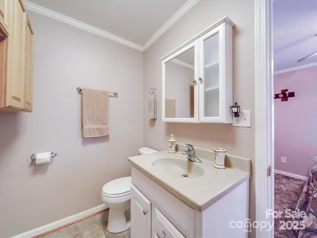 a bathroom with a sink vanity and a toilet