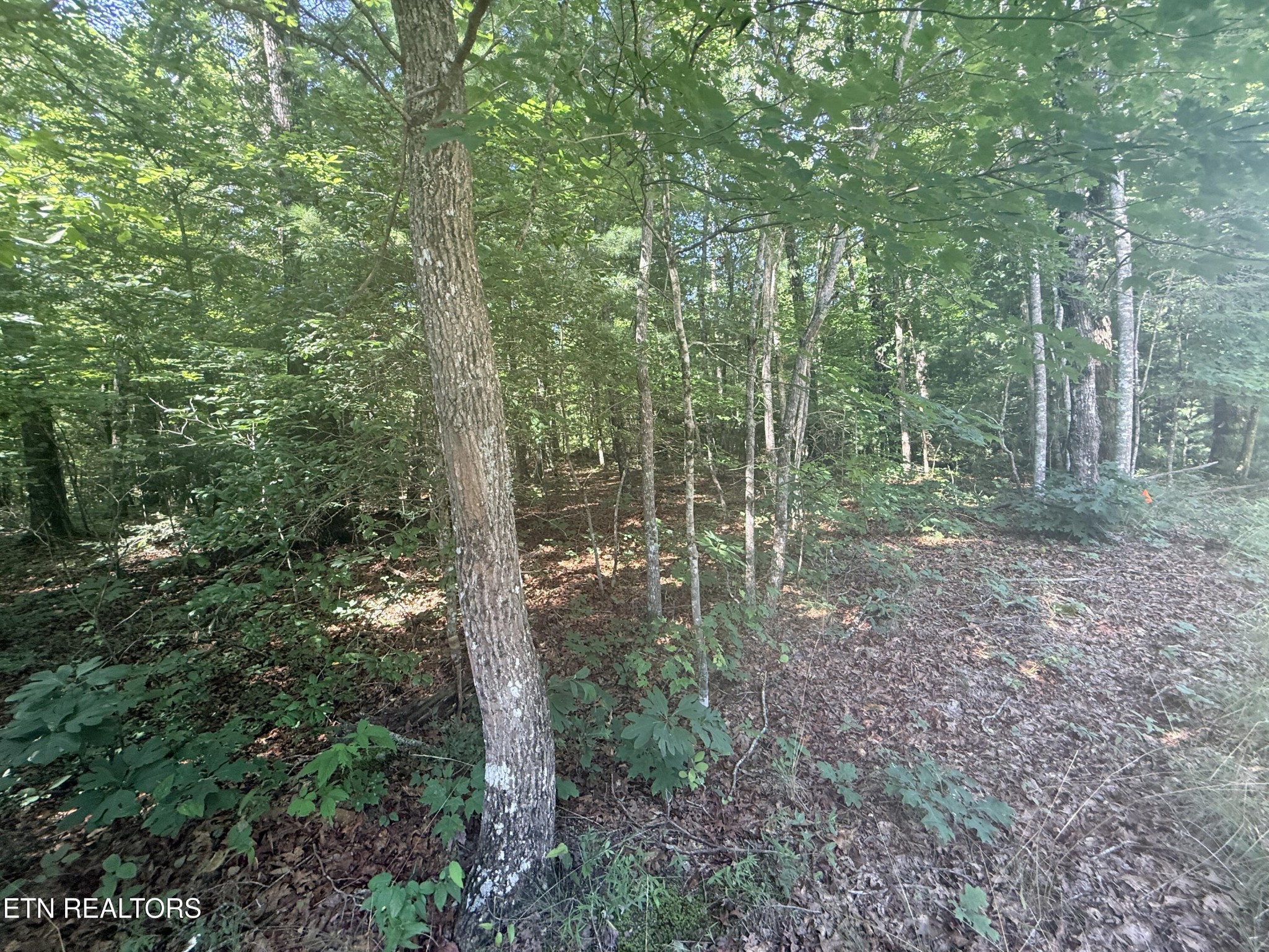 390 Georgee Road Jamestown, TN 38556 - Photo 9 of 14 Gallery Image 9