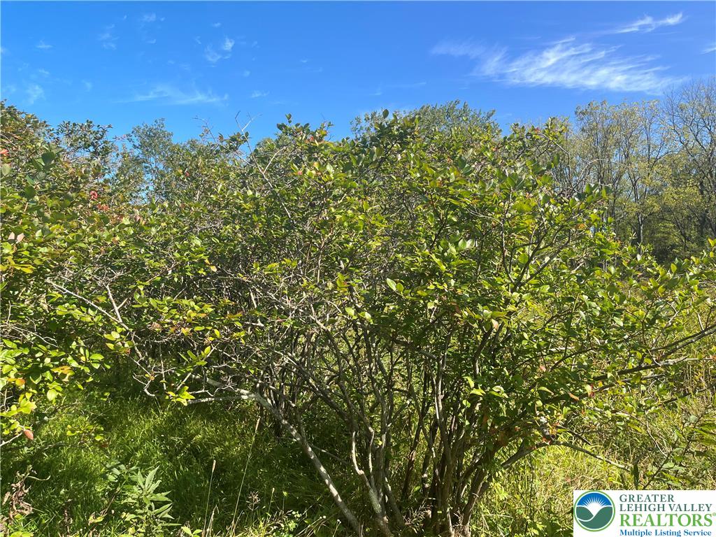 861 Muschlitz Road Nazareth, PA 18064 - Photo 27 of 35