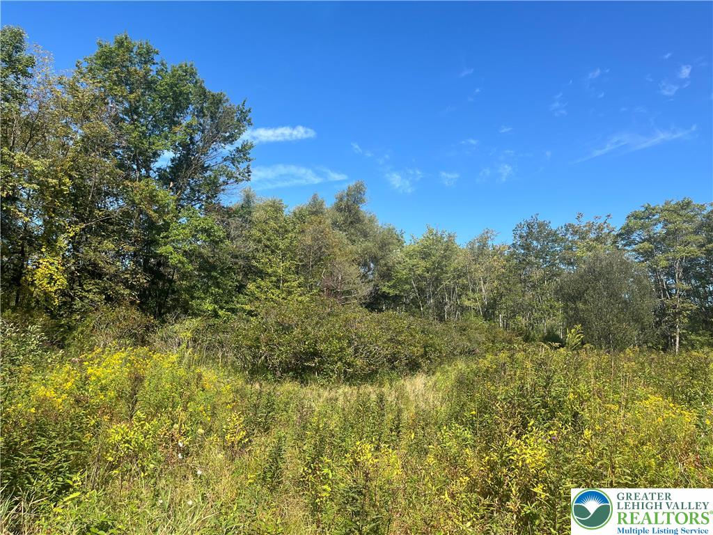 861 Muschlitz Road Nazareth, PA 18064 - Photo 30 of 35 Blueberry Bushes