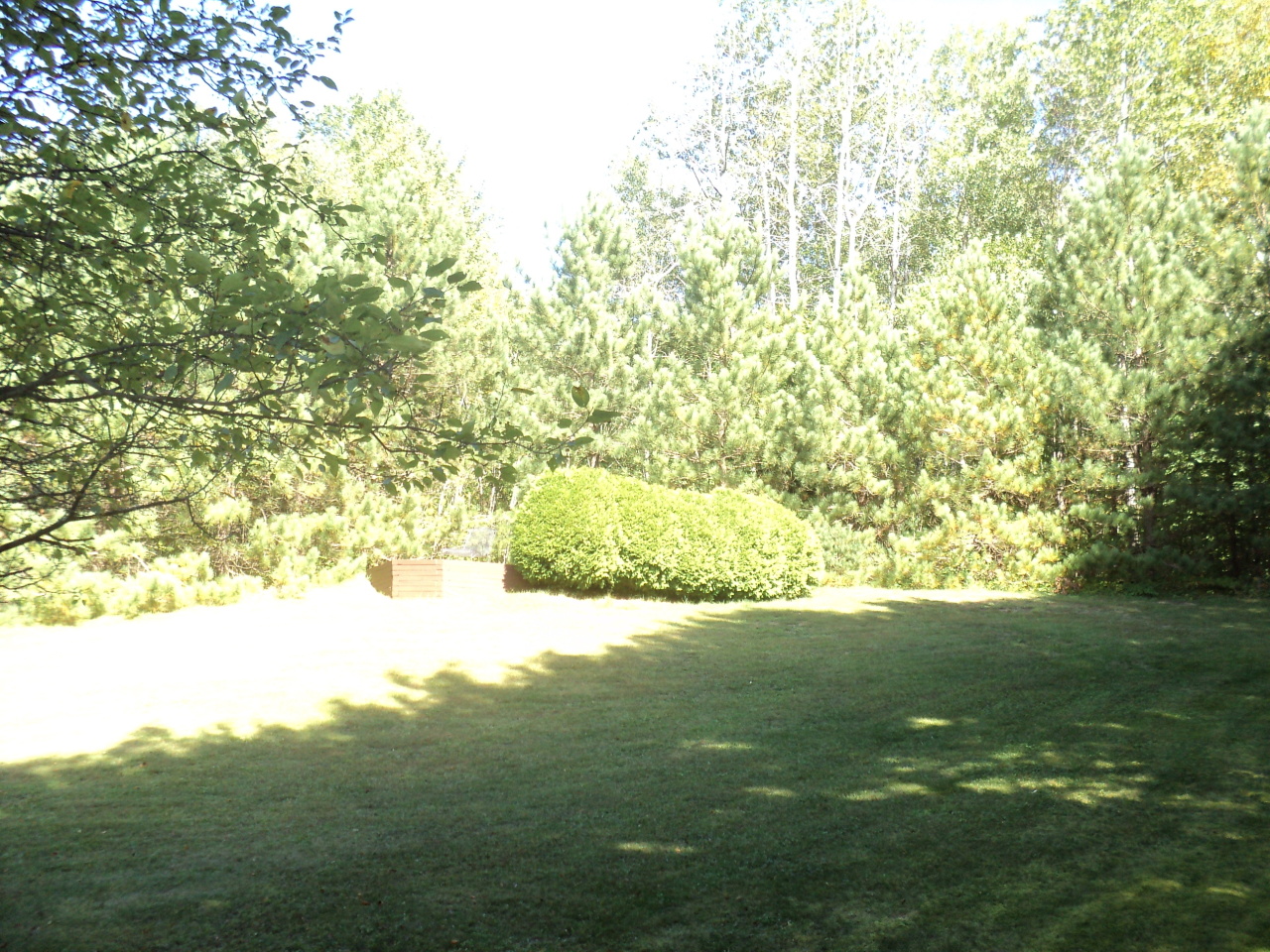 636 Pecks Road Pittsfield, MA 01201 - Photo 23 of 30 636 Pecks added 005