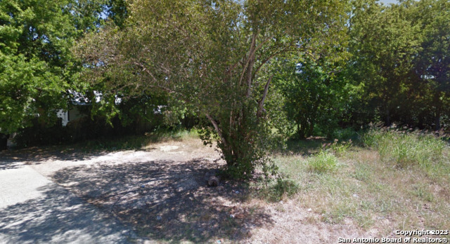 1007 Clark Street Seguin, TX 78155 - Photo 2 of 4 a view of a forest with trees in front of it